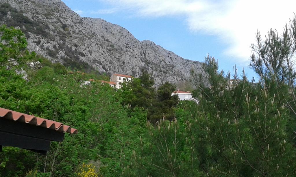 Charismatic Garden Cottage With Sea View Lokva Rogoznica Eksteriør bilde