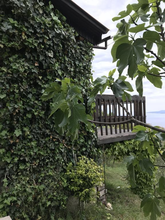 Charismatic Garden Cottage With Sea View Lokva Rogoznica Eksteriør bilde